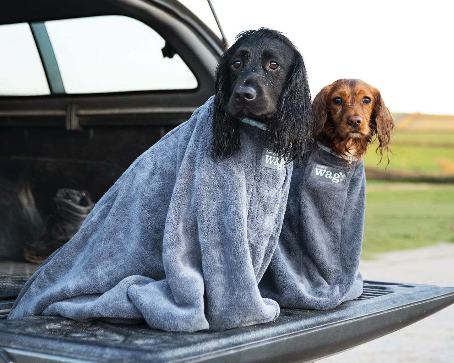 Grey Henry Wag microfibre dog drying bag with zip and Velcro fastening for quick, mess-free drying after walks or baths