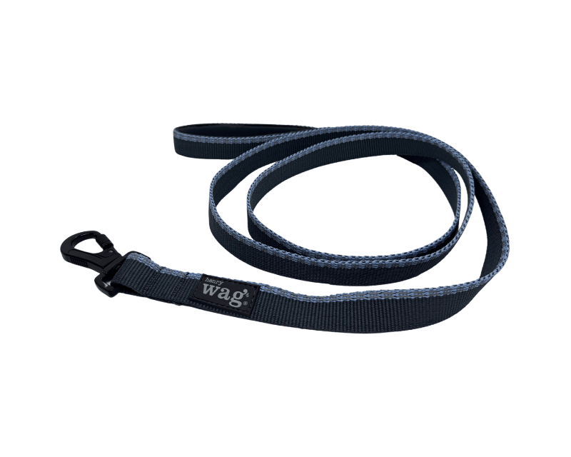 Henry Wag Dog Lead Henry Wag Standard Dog Lead | Neoprene Handle | GRS Recycled | Reflective | 2 Lengths | Blue Henry Wag Standard Lead | Recycled Webbing & Reflective | Blue