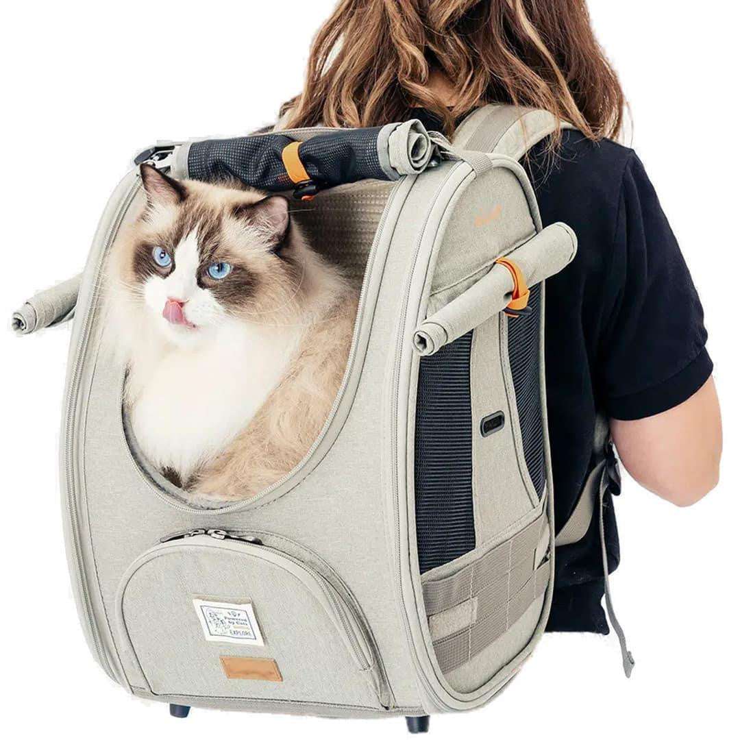 Ibiyaya Adventure Cat Backpack Carrier | Airline-Approved  FC2297-G Pets Own Us