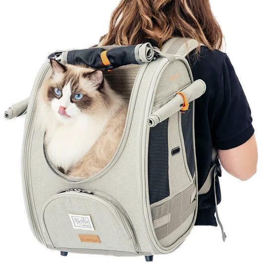 Ibiyaya Adventure Cat Backpack Carrier | Airline-Approved  FC2297-G Pets Own Us