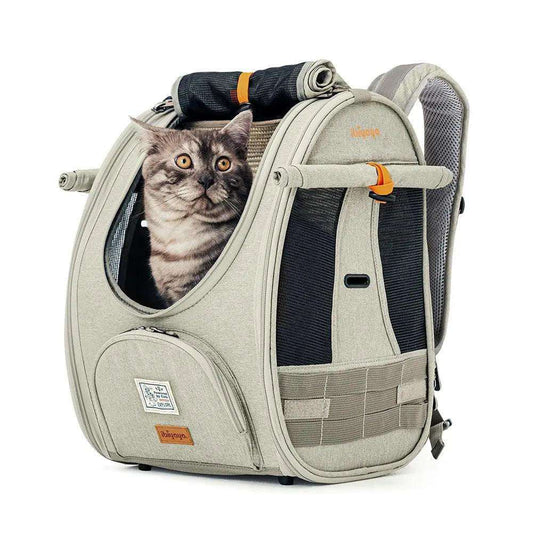 Ibiyaya Adventure Cat Backpack carrier with scratch-resistant fabric, ventilation flaps, and airline-approved design for safe and comfortable cat travel.