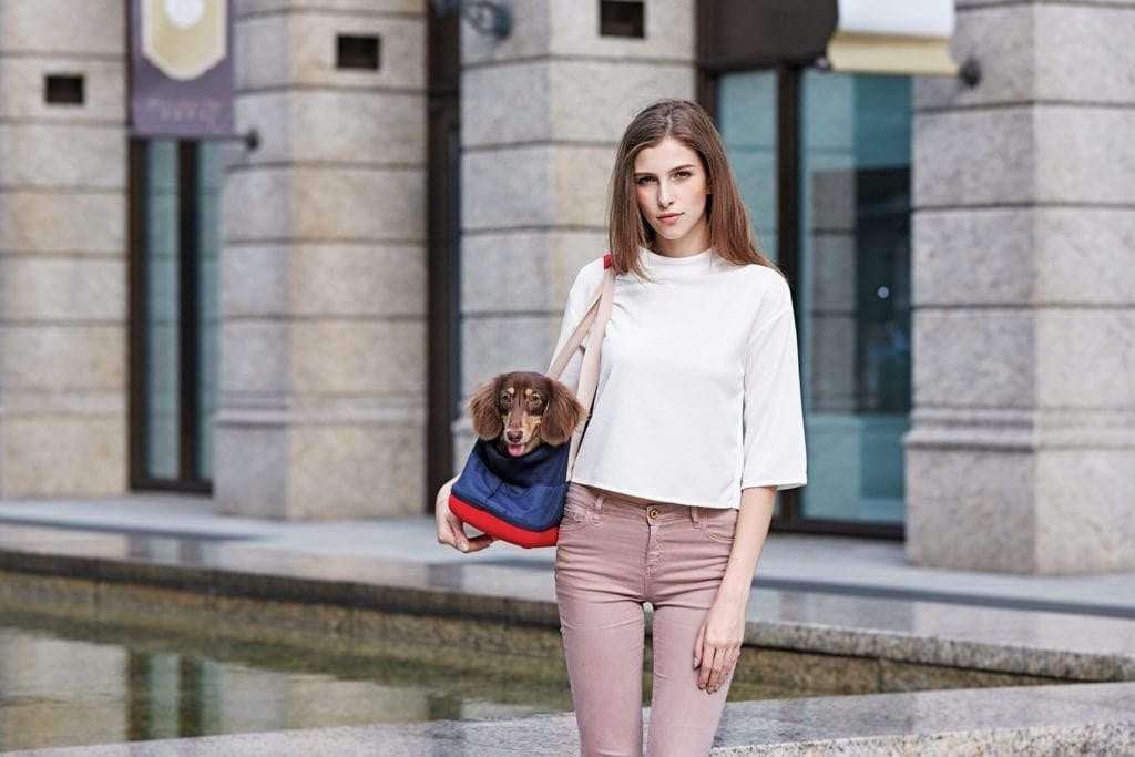 Ibiyaya Ibiyaya® Breathable Dachshund Carrier | Navy or Khaki Ibiyaya® Breathable Dachshund Carrier | Navy or Khaki | Pets Own Us