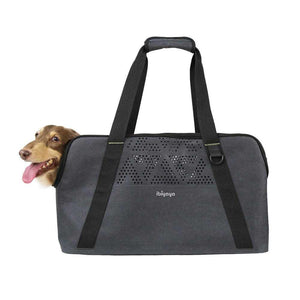 Ibiyaya® Dachshund Breezy Wanderer lightweight fur-free pet tote bag with floral design and breathable mesh panels