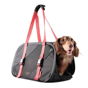 Ibiyaya Flying Pal foldable black and red pet travel carrier for airline and car use with mesh panels and safety belt buckles