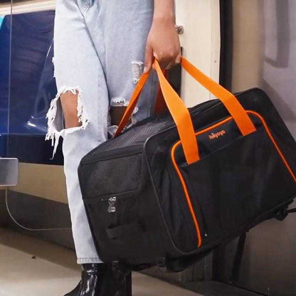 Ibiyaya JetPaw 3-in-1 pet stroller with removable airline-approved carrier and expandable design