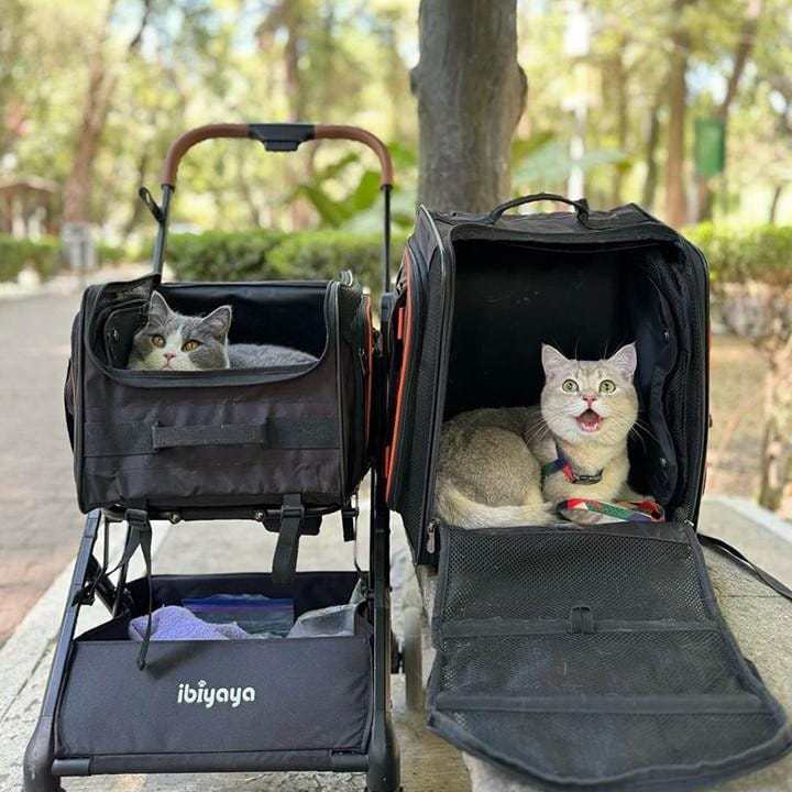 Ibiyaya JetPaw 3-in-1 pet stroller with removable airline-approved carrier and expandable design for dogs and cats
