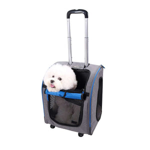 Ibiyaya Liso Backpack Parallel Transport Pet Trolley in two colors with mesh windows and 360-degree swivel wheels for pet travel