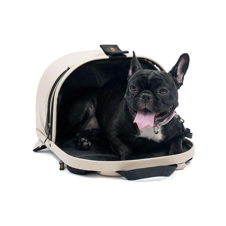 Ibiyaya Panorama zipper-free small pet travel carrier with ergonomic backpack and wheeled transport options