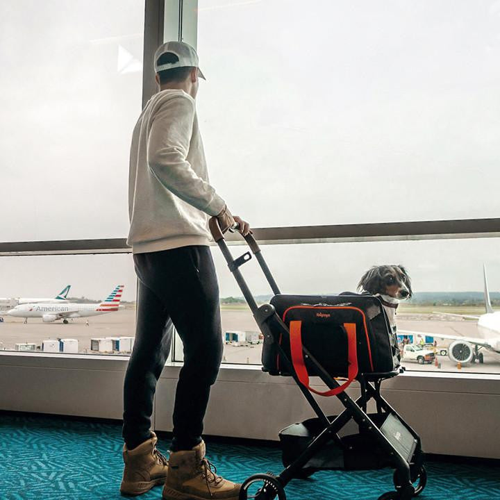  Ibiyaya® JetPaw: 3-in-1 Pet Stroller with Removable Airline-Approved Carrier  FC2319-B Pets Own Us