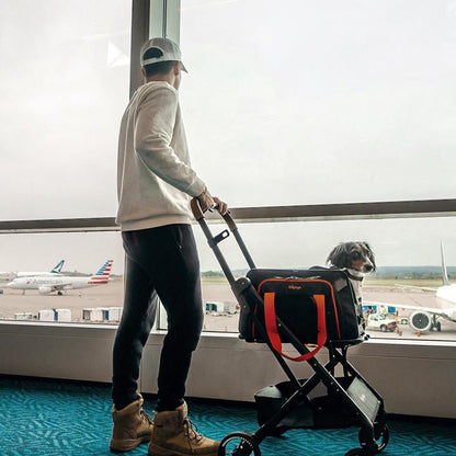  Ibiyaya® JetPaw: 3-in-1 Pet Stroller with Removable Airline-Approved Carrier  FC2319-B Pets Own Us