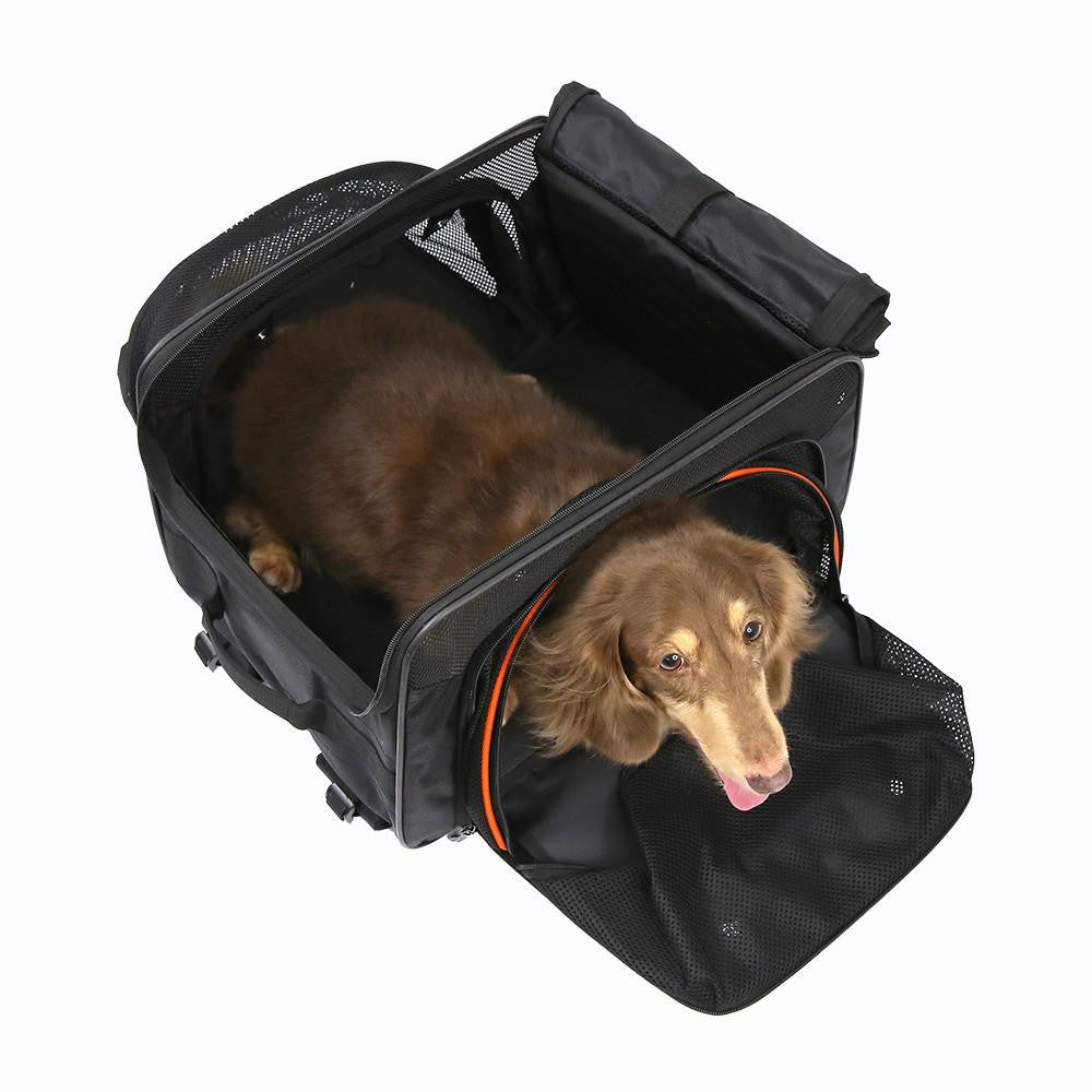  Ibiyaya® JetPaw: 3-in-1 Pet Stroller with Removable Airline-Approved Carrier  FC2319-B Pets Own Us