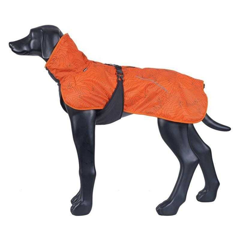 Icepeak Delle Winter Coat sizing guide for dogs in orange and black