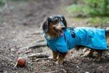 Icepeak Strike Raincoat black reflective lightweight waterproof dog coat with harness access and adjustable fit