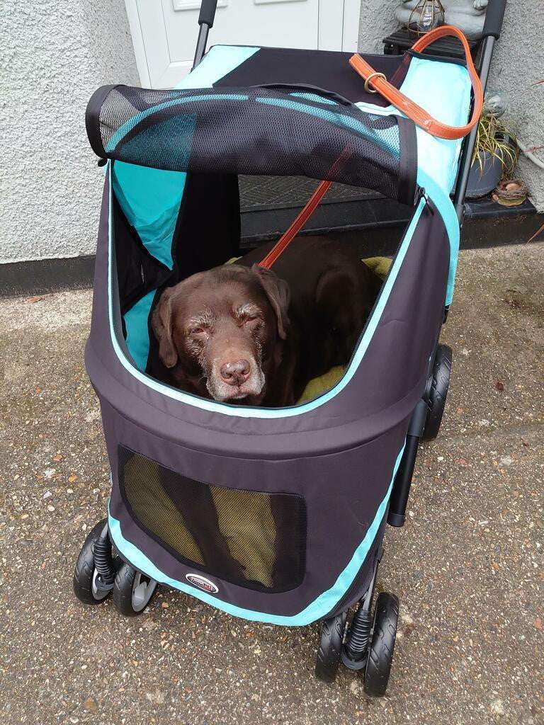 Innopet Mamut XLarge Dog Pram stroller for large dogs up to 50kg with rain cover and breathable mesh windows