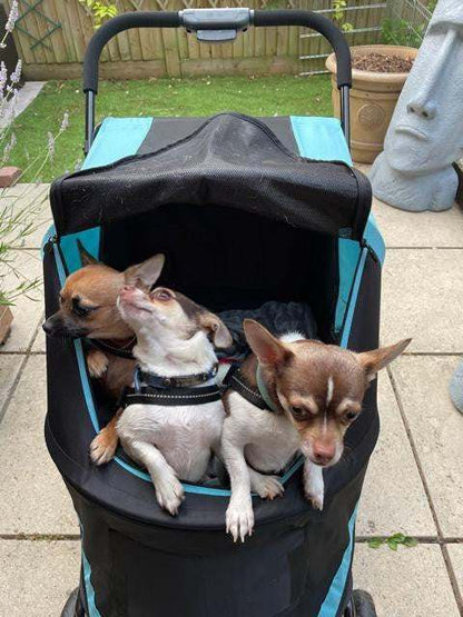 Innopet Mamut XLarge Dog Pram stroller for large dogs up to 50kg with rain cover and breathable mesh windows