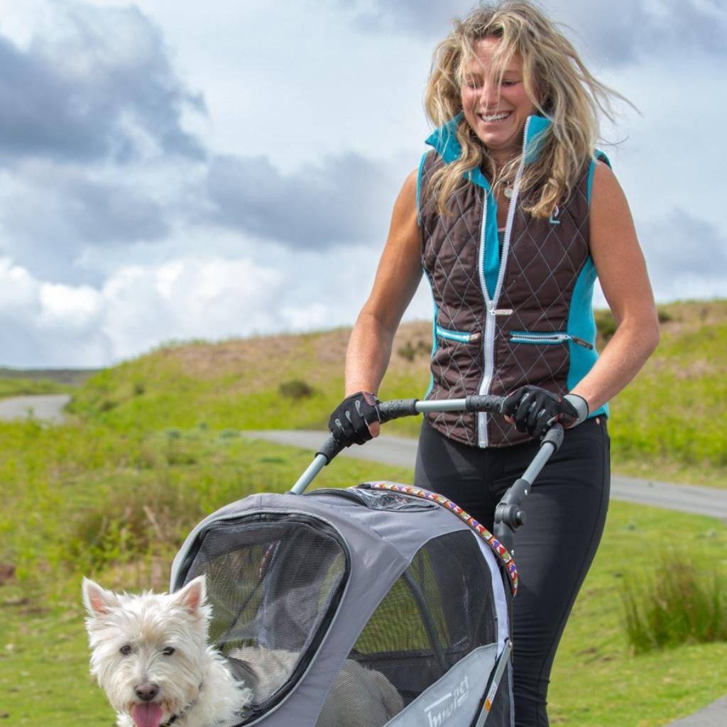InnoPet Sporty Deluxe dog pram and bike trailer with free rain cover and 2-year warranty