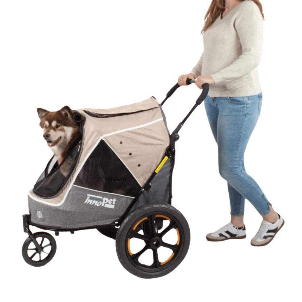 Innopet Sporty Evolution V2.0 dog stroller and bike trailer with rain cover and rust-free wheels