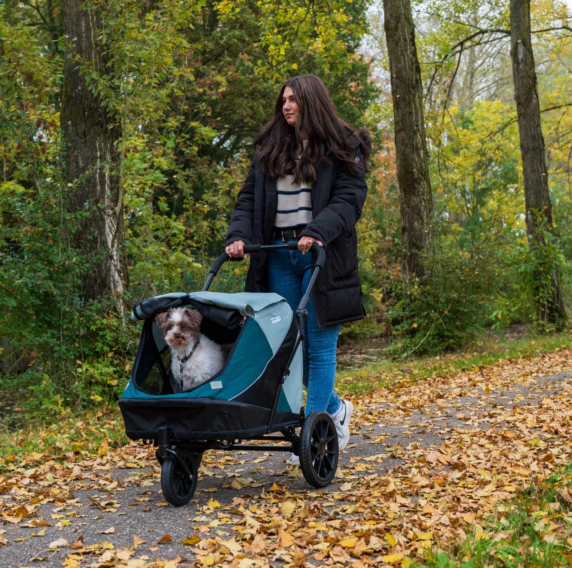 Innopet Noah Pet Stroller in two colors, stylish and lightweight pet stroller for small to medium pets with foldable design and breathable mesh panels.