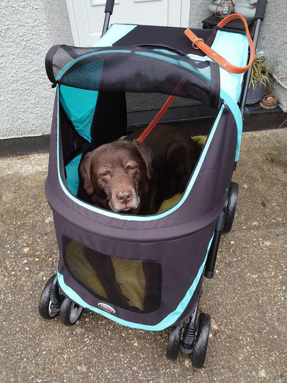 Innopet® Mamut XLarge Dog Pram >50kgs | Blue/Black | Free Rain Cover  IPS-038/OB Pets Own Us