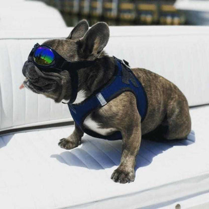 K9 dog goggles with padded frames and adjustable straps for outdoor protection