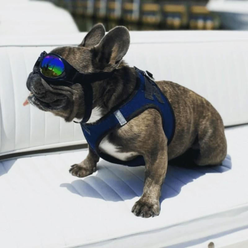 K9 Sports Sack K9 Dog Goggles  42DOGGOGBO Pets Own Us