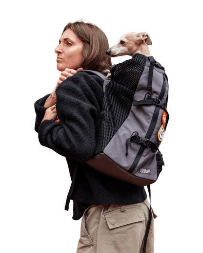 K9 Sports Sack Pet Backpack Carrier K9 Sport Sack Air | Everyday Dog Backpack Carrier | 3 Sizes & 3 Colours K9 Sport Sack Air | Everyday Dog Backpack Carrier | 3 Sizes & 3 Colours