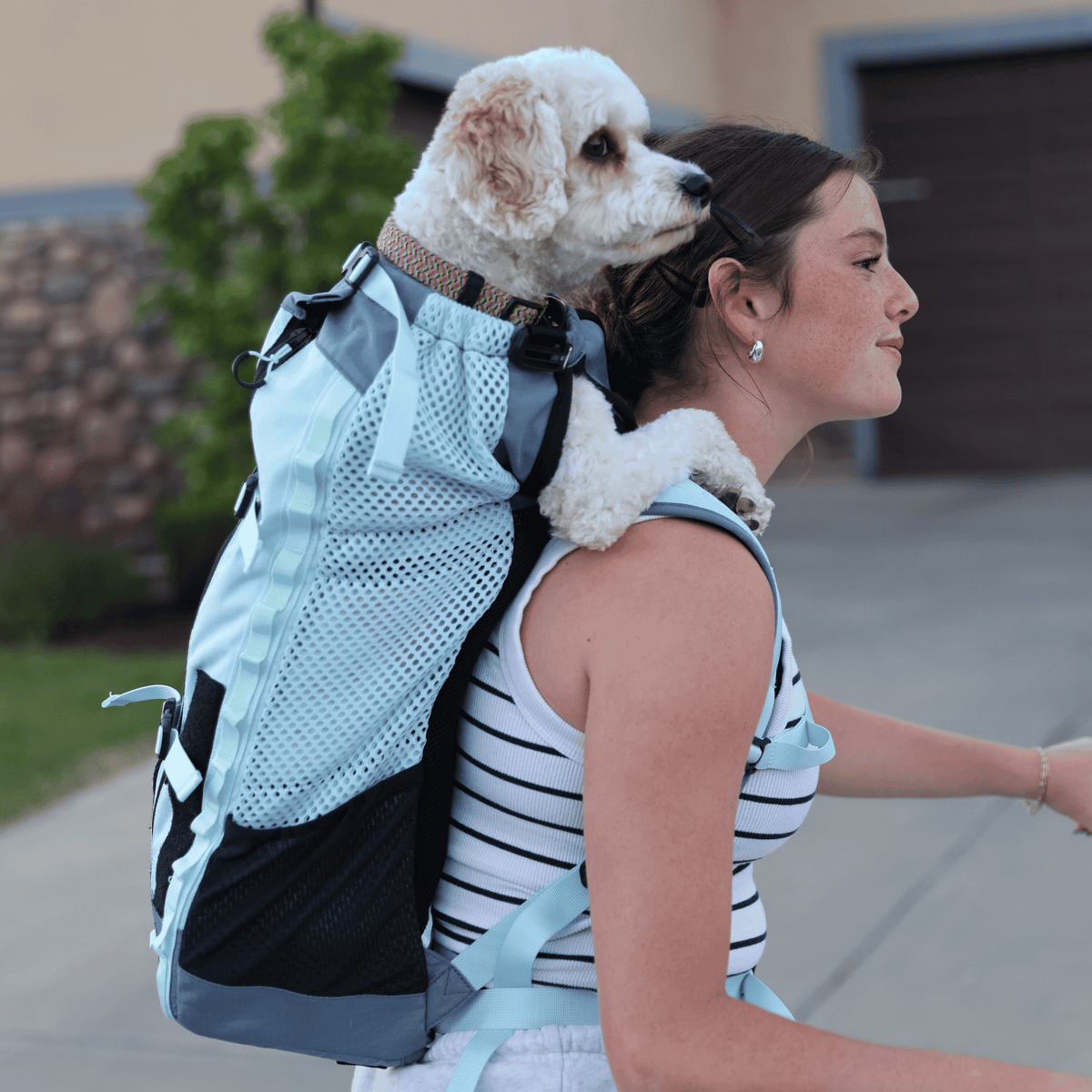 K9 Sports Sack Pet Backpack Carrier K9 Sport Sack Kompanion | Adventure Dog Backpack Carrier | 3 Sizes & 3 Colours K9 Sport Sack Kompanion | Adventure Dog Backpack Carrier | 3 Sizes & 3 Colours