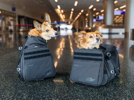 K9 Sports Sack Pet Backpack Carrier K9 Sport Sack Sky | Convertible Dog Backpack & Airline Travel Carrier | Black K9 Sport Sack Sky | Convertible Dog Backpack & Airline Travel Carrier | Black