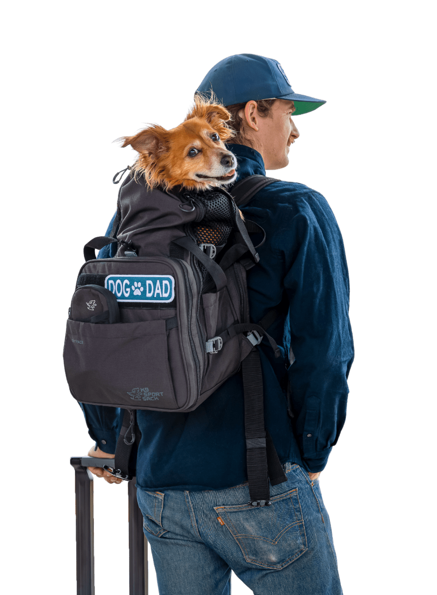 K9 Sports Sack Pet Backpack Carrier K9 Sport Sack Sky | Convertible Dog Backpack & Airline Travel Carrier | Black K9 Sport Sack Sky | Convertible Dog Backpack & Airline Travel Carrier | Black