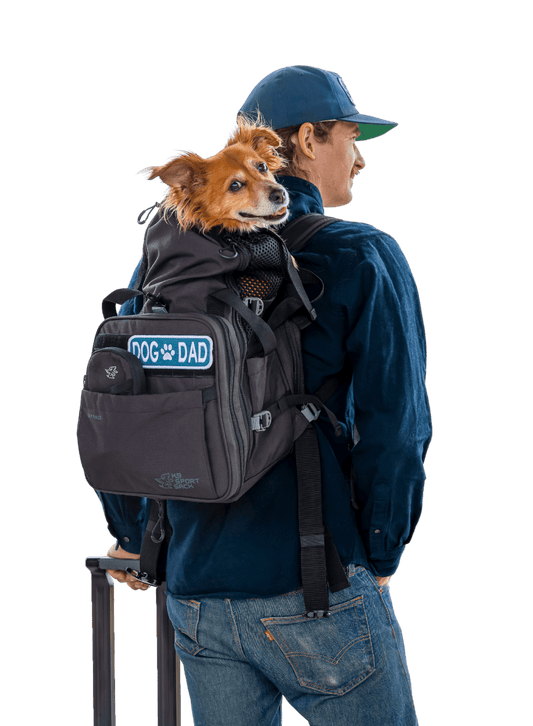 K9 Sports Sack Pet Backpack Carrier K9 Sport Sack Sky | Convertible Dog Backpack & Airline Travel Carrier | Black K9 Sport Sack Sky | Convertible Dog Backpack & Airline Travel Carrier | Black