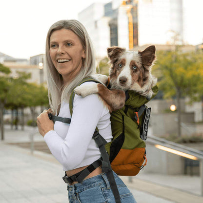 K9 Sports Sack Urban 3 dog backpack in grey carrying small dog with padded laptop sleeve and ergonomic straps