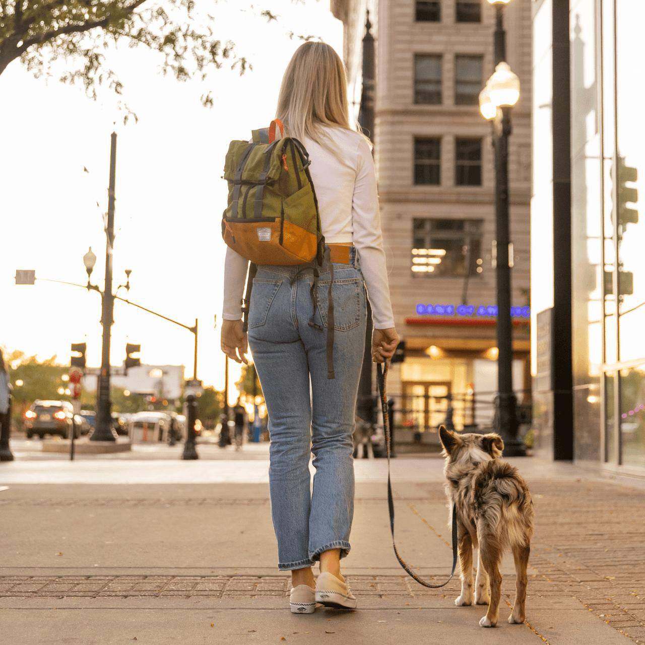 K9 Sports Sack Urban 3 dog backpack in grey with padded laptop sleeve and waist support strap carrying small to medium dogs