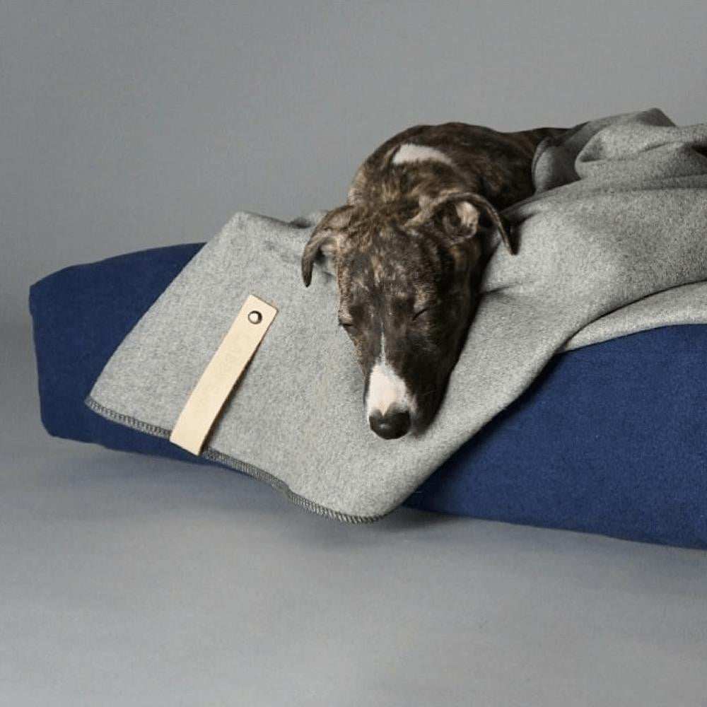 ÅSNEN Luxury Dog Blanket by Labbvenn soft woolen travel blanket with leather label