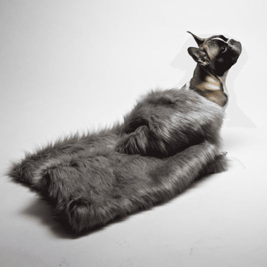 Labbvenn FÖRA Luxury Dog Blanket by Labbvenn - Silver   Pets Own Us