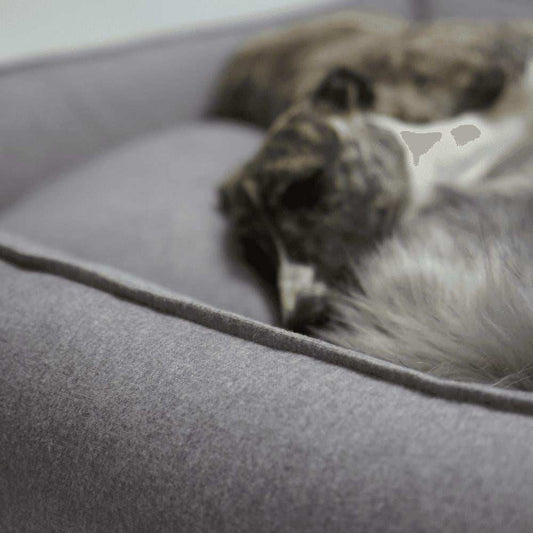 Luxury High Side Dog Bed by Labbvenn in four colors with breathable fabrics and supportive foam mattress