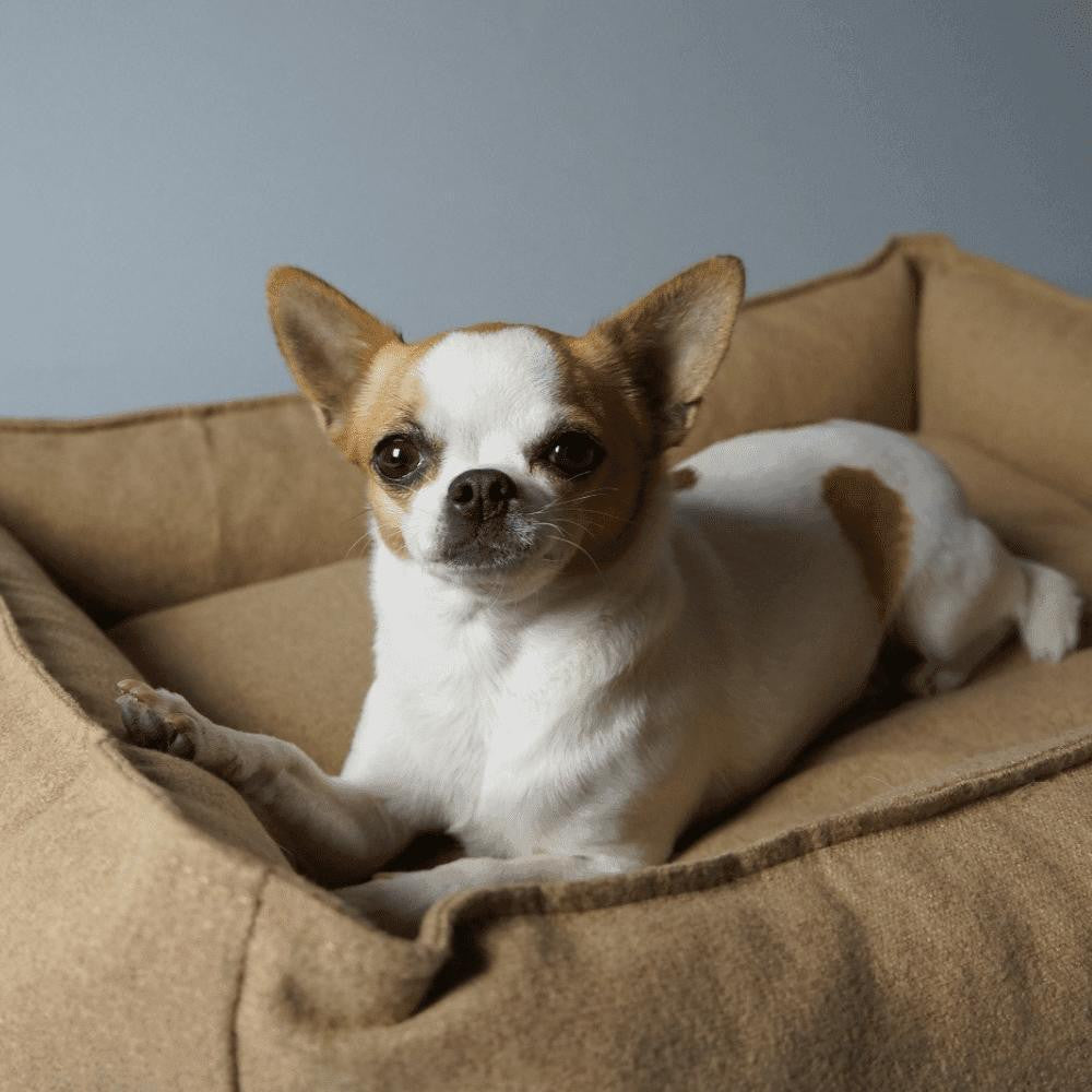 Labbvenn MØVIK Luxury High Side Dog Bed by Labbvenn in 4 Colours   Pets Own Us