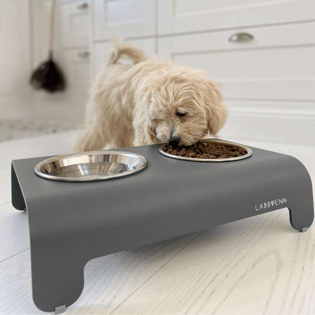 Labbvenn Rico Luxury Pet Bowl by Labbvenn - 4 Colours Rico Luxury Pet Bowl by Labbvenn - 4 Colours | Pets Own Us