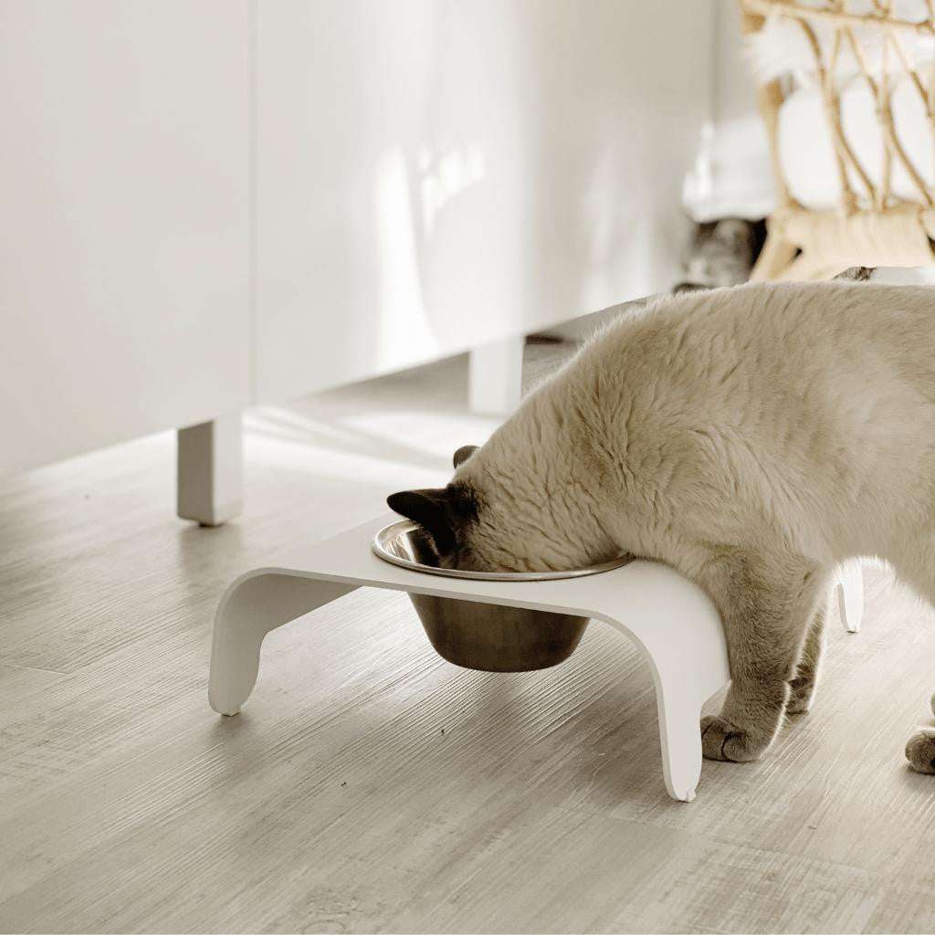 Rico Luxury Pet Bowl minimalist aluminum feeder with stainless steel bowls in four matte colors