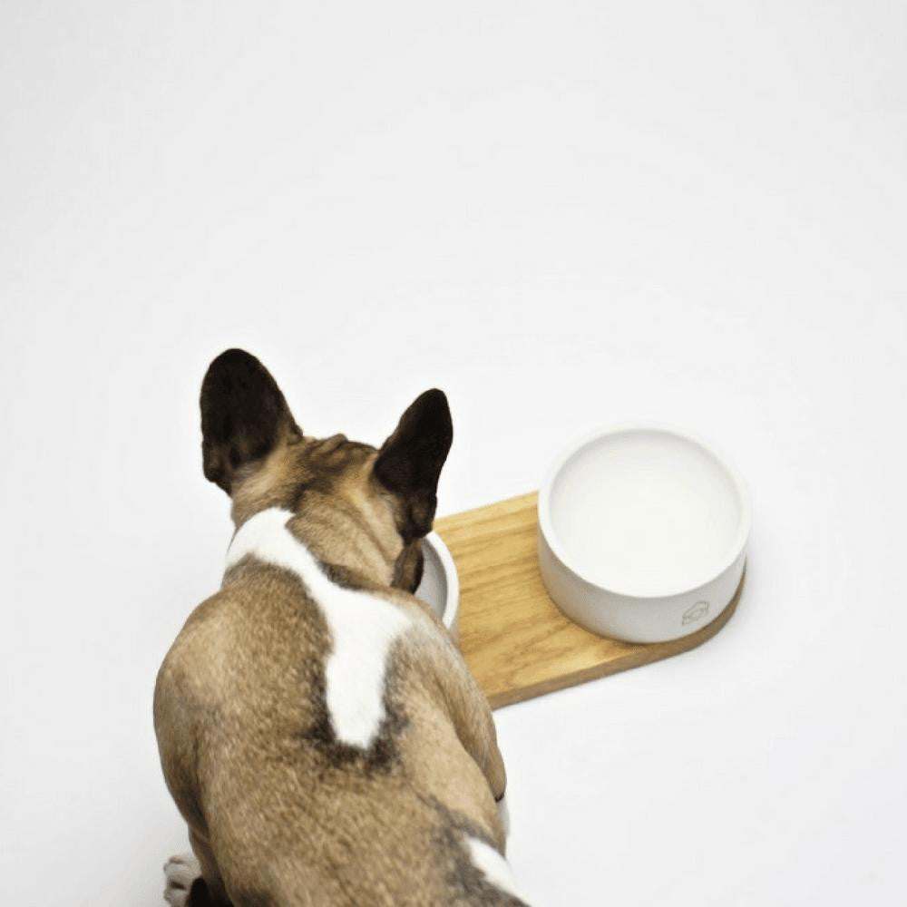 Vuku Double Buffet luxury dog bowls with concrete bowls and oak wood base