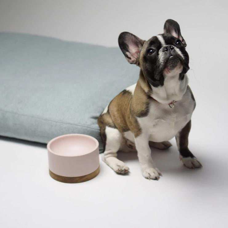Labbvenn Vuku Single Buffet Luxury Dog Bowl by Labbvenn Vuku Single Buffet Luxury Dog Bowl by Labbvenn | Pets Own Us