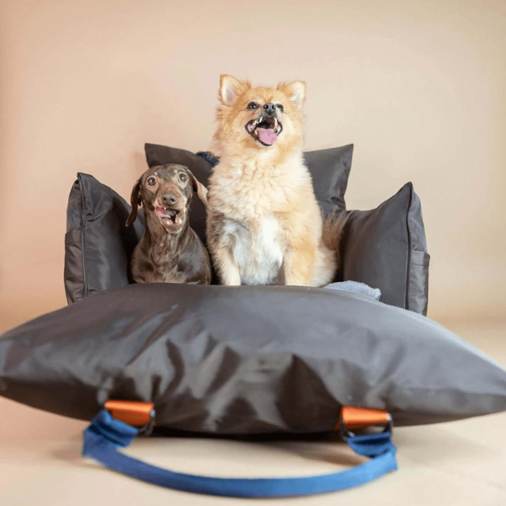  Luther Bennett Travel Dog Pod 2.0 | Dog Car Seat | With ISOFIX | Diesel  LB2-DIE Pets Own Us