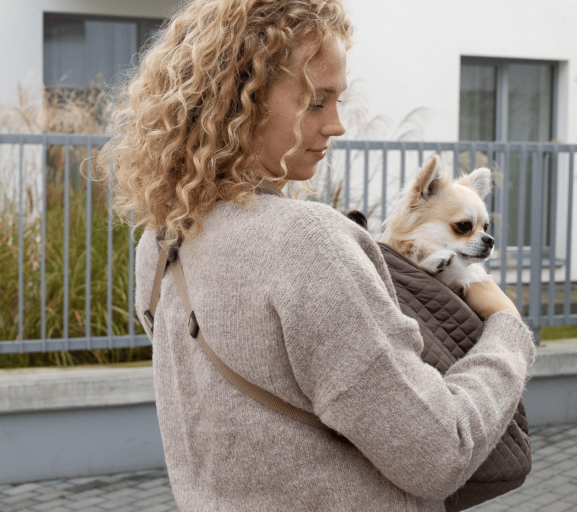 Muffin & Berry Front Carrier for Pets lightweight breathable pet carrier with adjustable straps and safety leash attachment