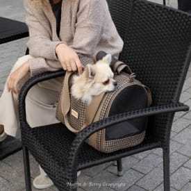 Muffin & Berry House Carrier brown soft-sided pet carrier with mesh windows and removable pillow