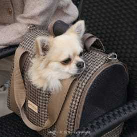 Brown Muffin & Berry House Carrier with mesh windows and detachable shoulder strap for pets