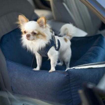 Luxury navy blue dog car seat by Oh Charlie with golden accents and secure leashes for safe travel