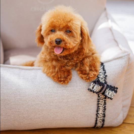 Oh Charlie Elite Dog Car Seat  by Oh Charlie - 2 colours   Pets Own Us