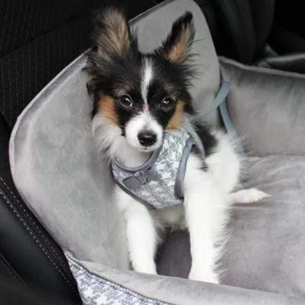 Oh Charlie Glamour Car Seat LUXURY by Oh Charlie - Grey   Pets Own Us