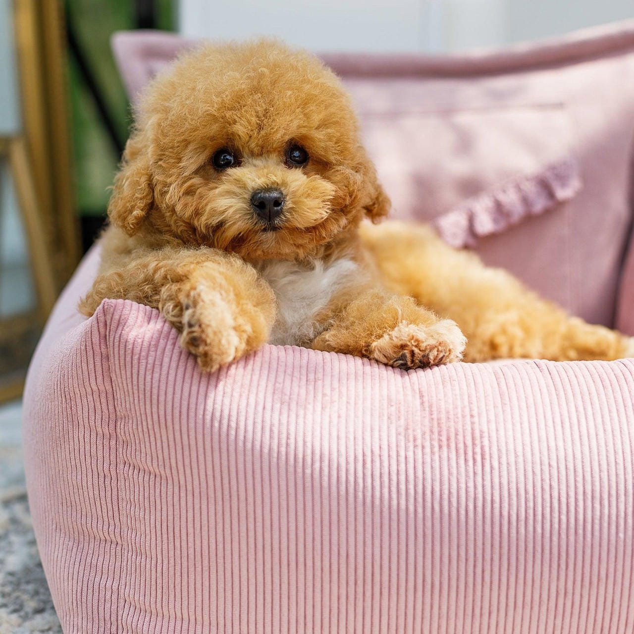 Oh Charlie Luxury Dog Car Seat | Mademoiselle by Oh Charlie Luxury Dog Car Seat | Mademoiselle Pink by Oh Charlie