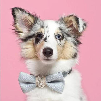 Oh Charlie Pearls Bowtie by Oh Charlie - Celeste & Beige   Pets Own Us