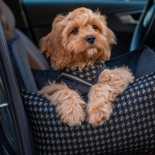 Oh Charlie Prestige Black Car Seat LUXURY by Oh Charlie - Black   Pets Own Us